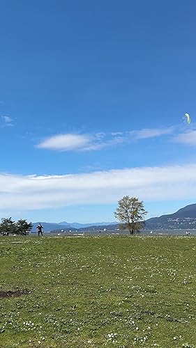 Amazon.co.jp: Prism シナプス デュアルライン パラフォイル カイト